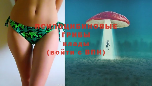 сатива Снежинск