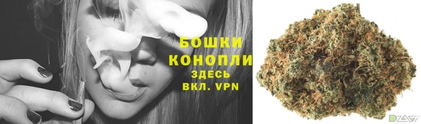 МДПВ Слюдянка