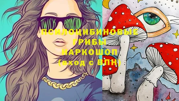 сатива Снежинск