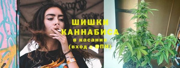МДПВ Слюдянка