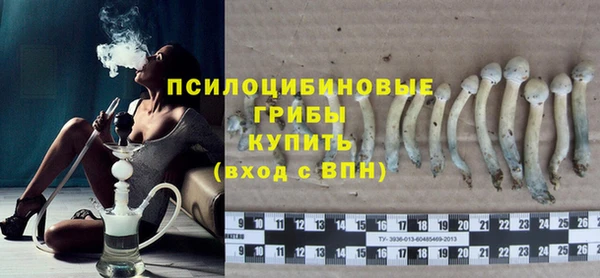 МДПВ Слюдянка