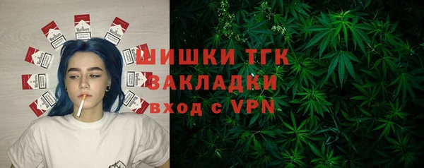 МДПВ Слюдянка