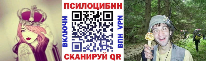 Галлюциногенные грибы Psilocybe Челябинск